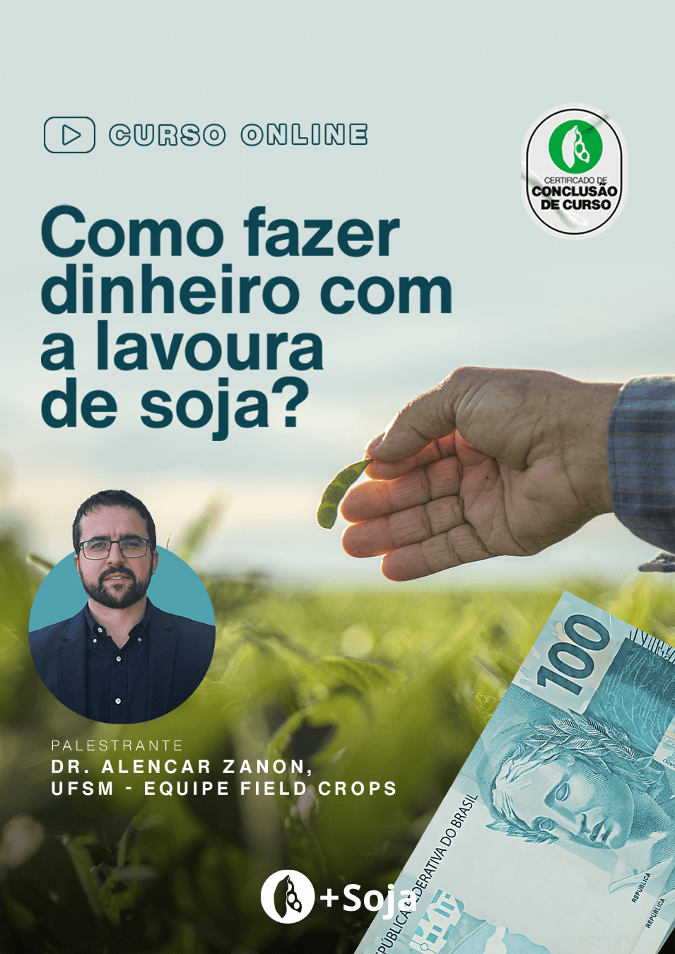 Como fazer dinheiro com a soja
